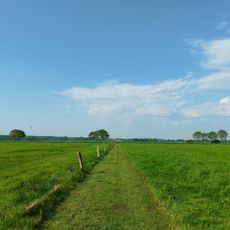 Rhede-Flaar