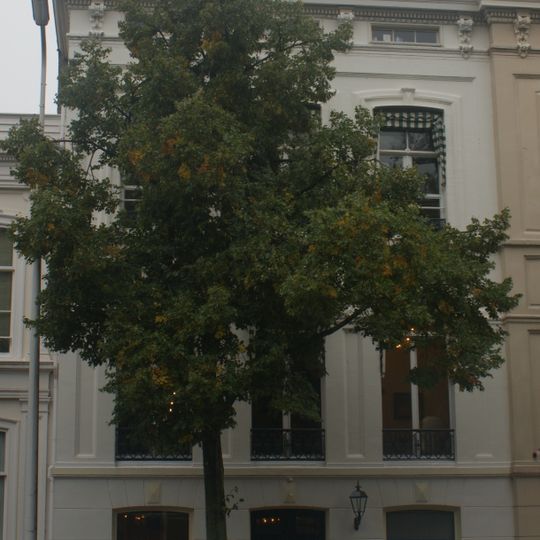 Javastraat 66, The Hague