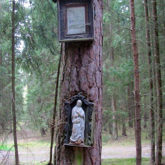 Obrázek severozápadně od České Doubravice