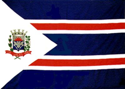 Flag 1