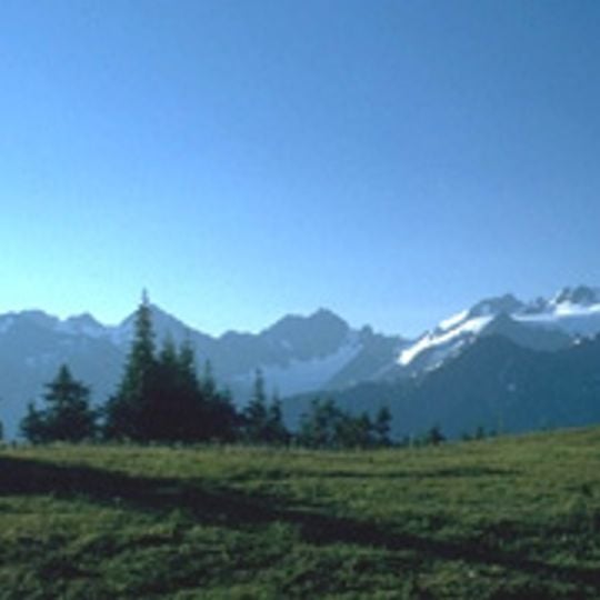 Olympic Mountains