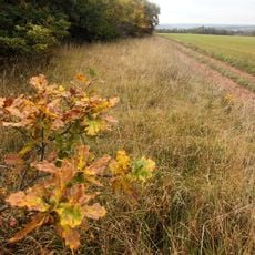 Réserve naturelle régionale des pelouses et bois de Villemoron