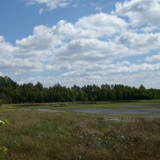 Grambower Moor