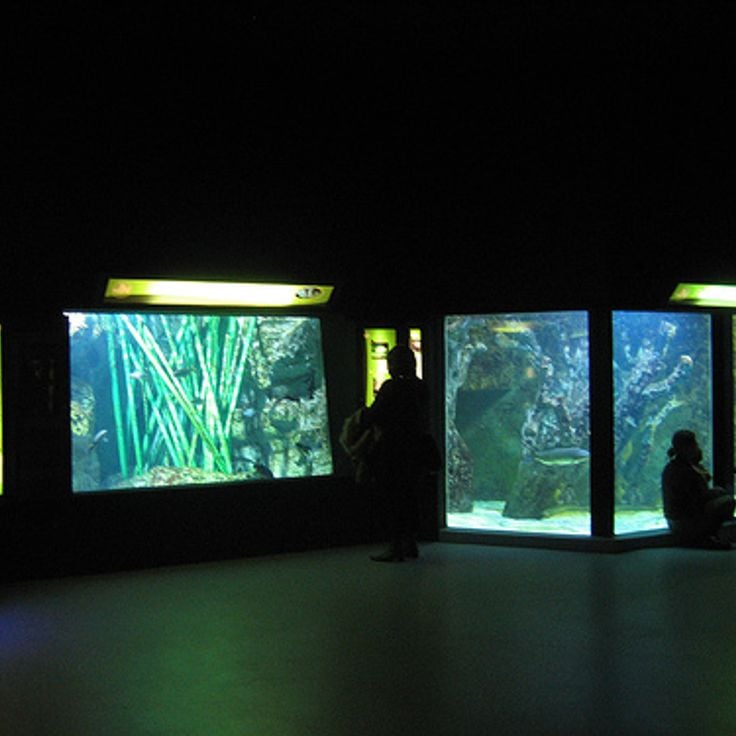 Aquarium de Lyon