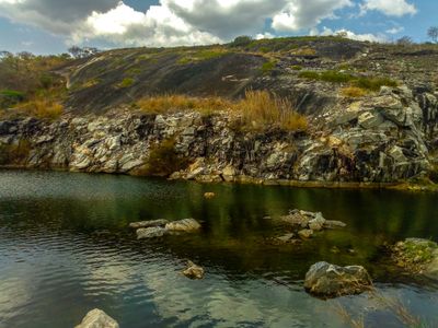 Immagine alternativa