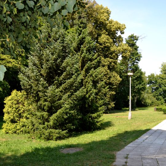 Kaštieľ Bacskady, Haupt-Stummer, park