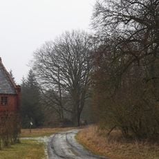 Naturdenkmal Gutslinde