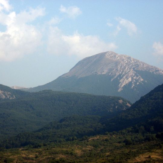 Pollino