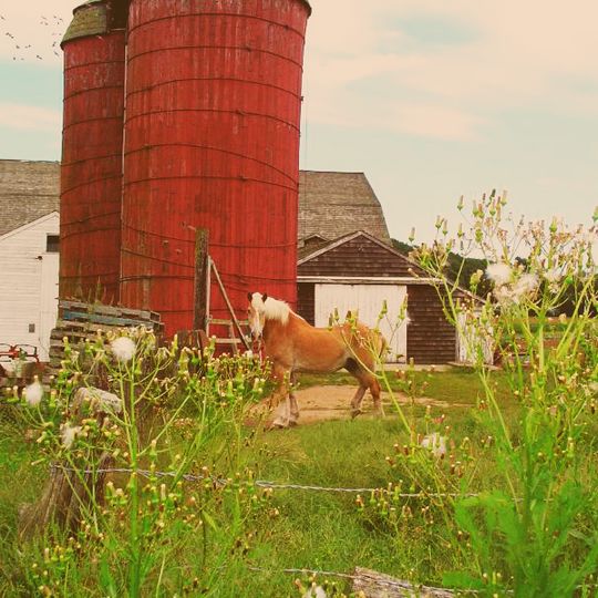 Brown Avenue Historic District
