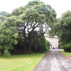 Scolton Manor Museum