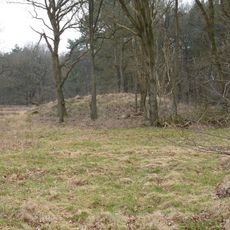 Terrein met twee grafheuvels