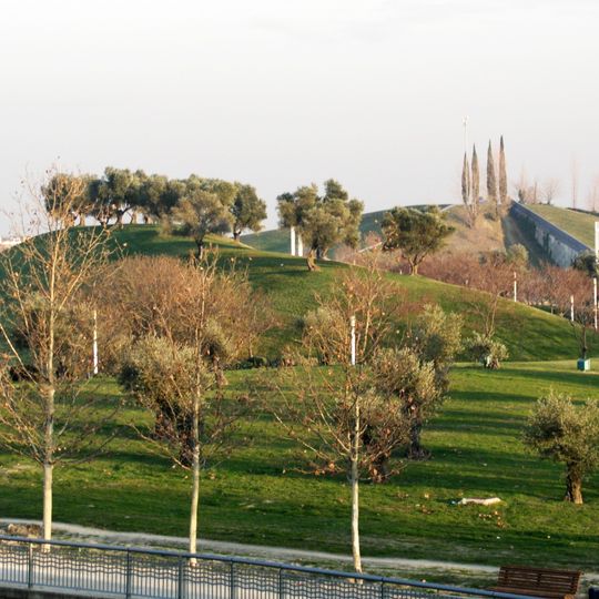 Parco Juan Carlos I