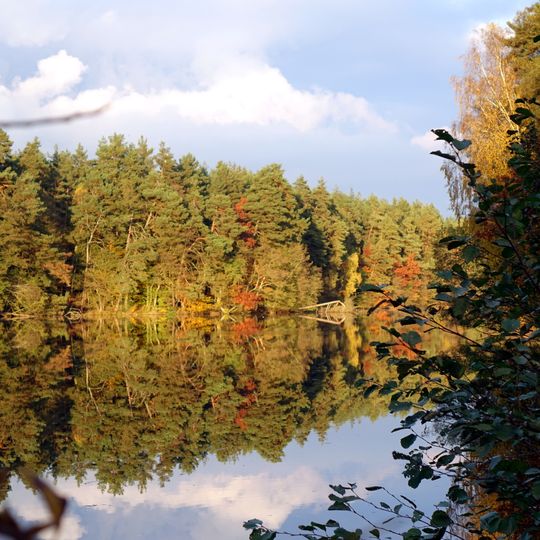 Weichselbrunner Weiher und Trockenkiefernwald bei Bodenwöhr