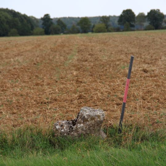 Sühnekreuz Creglingen IV