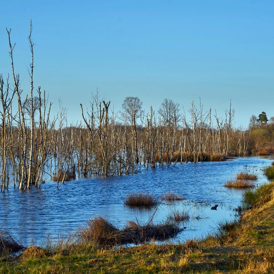 Burlo-Vardingholter Venn/Entenschlatt
