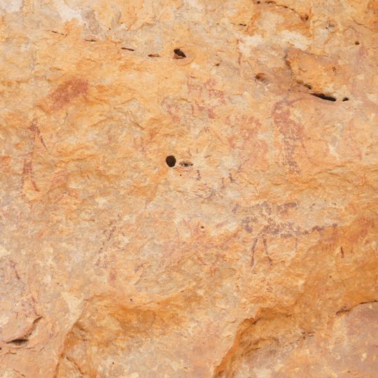 Cuevas de la Araña, abrigo I