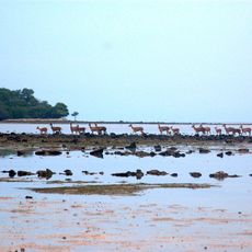 Nationalpark Baluran