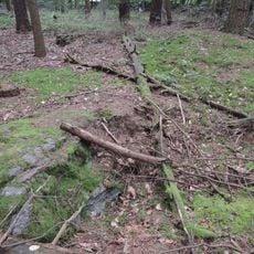 Großsteingrab Uelzen 1