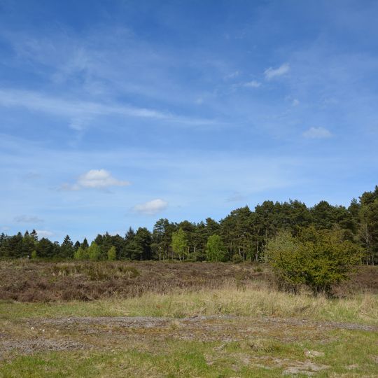 Wittenborner Heide