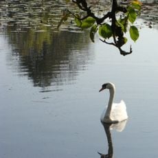Bichelweiher