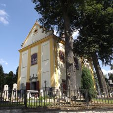 Lípy na městském hřbitově