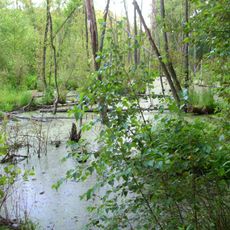 Nature reserve Augustowo