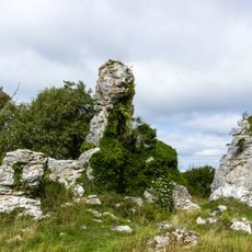 2003566 Grausne norra raukområde