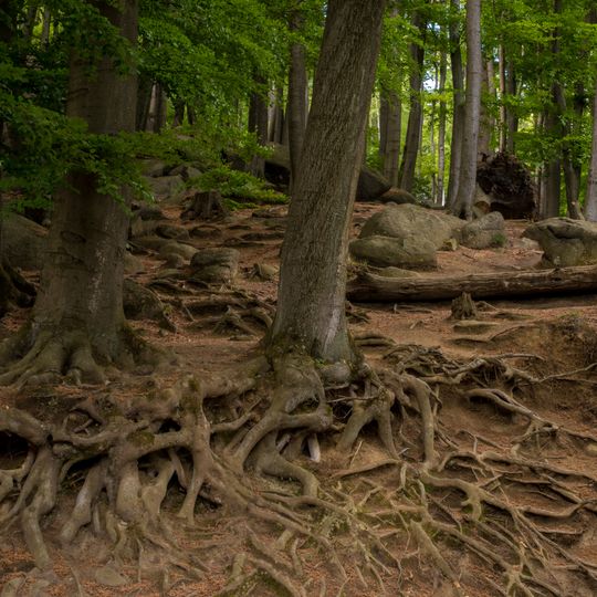 Naturschutzgebiet Felsberg bei Reichenbach