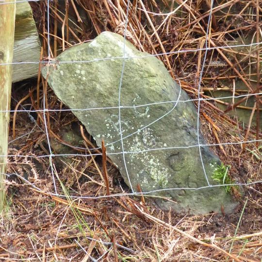 Boundary Stone Approximately 550 Metres South West Of Tidkinhow Farmhouse At Ngr Nz643 137