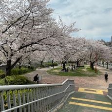 Kanayama park