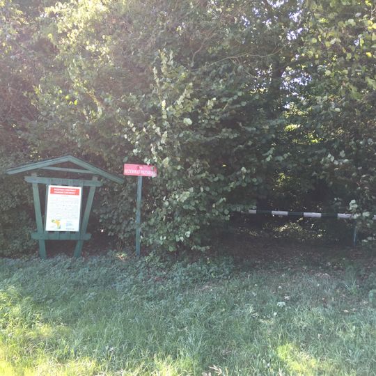 Rezerwat przyrody Czmoń