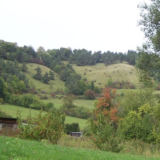 Muschelkalksteilhänge am Emberg