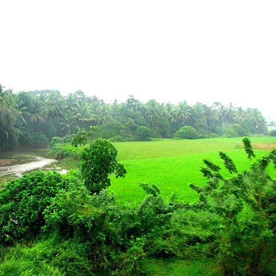 Kottakkal