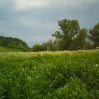 Krasnogorsky District