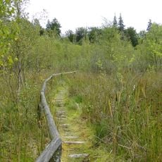 Hohe Burg und Schwarzer See