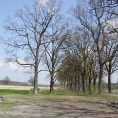 LSG-Haus Ermelinghof