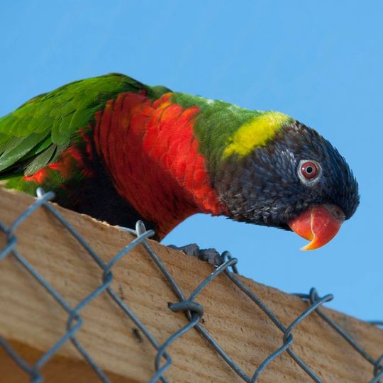 Parc zoologique Val d'Hérault nature