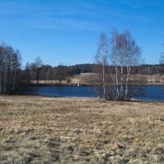 Rašeliniště u Suchdola