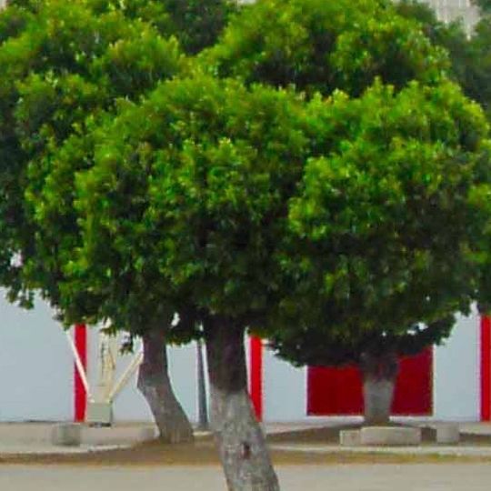 Dipartimento di Norte de Santander