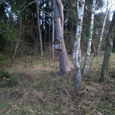 Obrázek severovýchodně od Plání