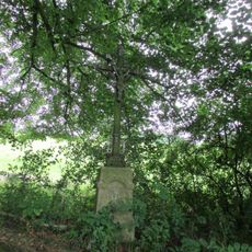 Kříž na jižním okraji Plevnice směrem na Proseč pod Křemešníkem