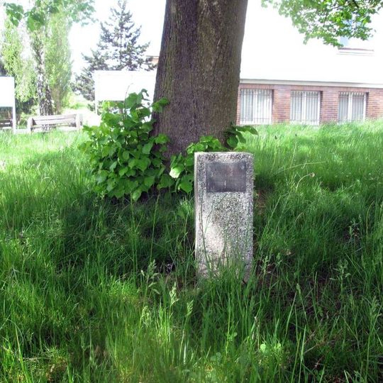 Památník stromu republiky v Horní Bříze