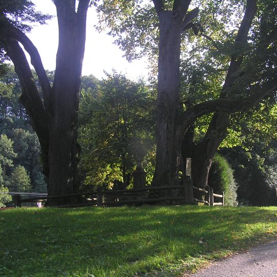 4 ks Lípa malolistá