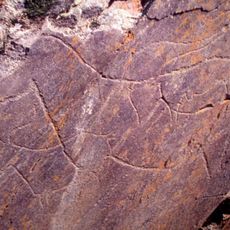 Prehistoric Rock Art Sites in the Côa Valley