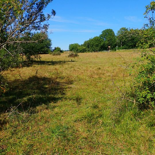 Västerplana storäng