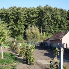 Erdőteleki Alder Bog Wood Protected Area