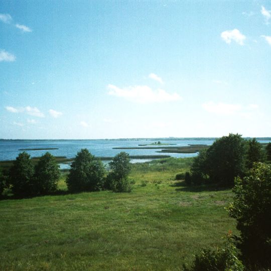 Sialiava