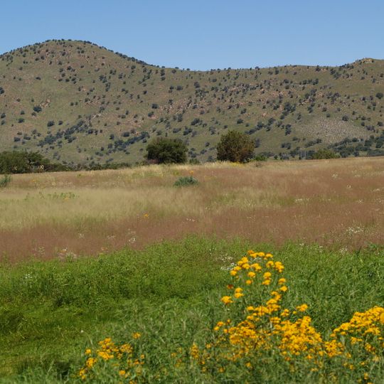 Canelo Hills Cienega Reserve