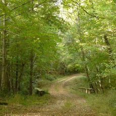 Forêt domaniale de Grésigne
