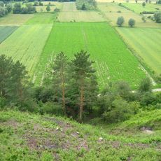 Nature reserve Zbocza Płutowskie